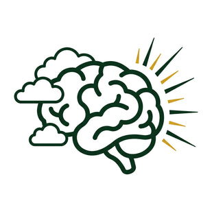 Clears Brain Fog & Focus