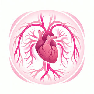 Promotes Heart & Vascular Health