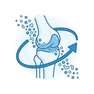 Supports Joint Comfort & Mobility