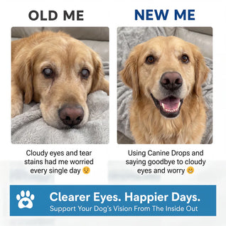 Aurvela™- Clear Vision Drops for Dogs