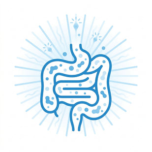 Gut Health & Natural Energy