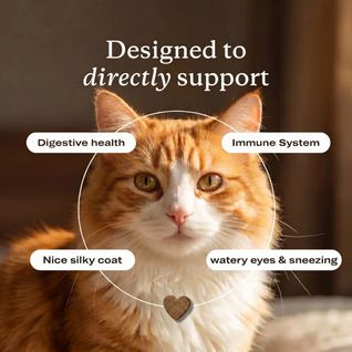 Aurvela™ Immune & Eye Support Chews