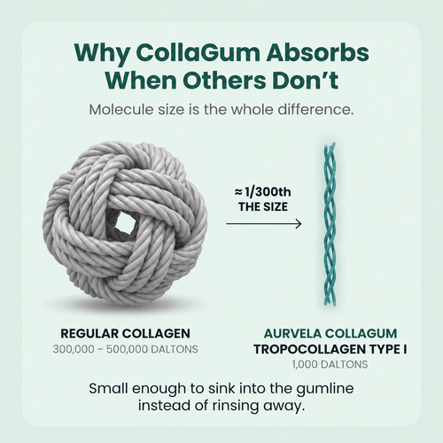 Rebuild Receding & Damaged Gums - CollaGum™