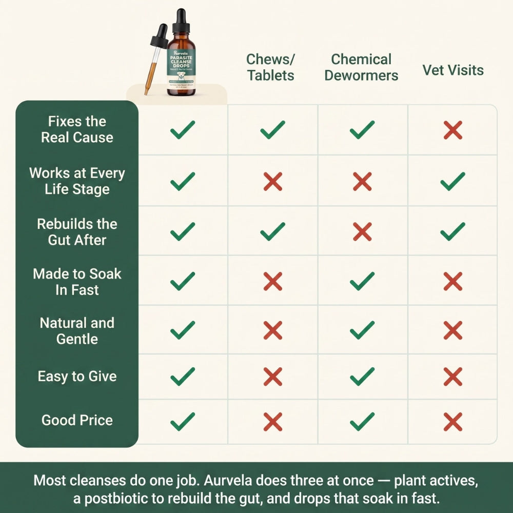 Why Choose Aurvela™ Over Any Other Dog Dewormer?