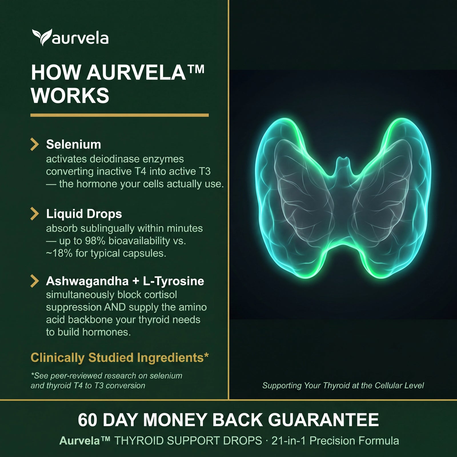 Thyroid & Hormone Support