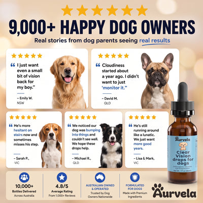Aurvela™- Clear Vision Drops for Dogs