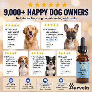 Aurvela™- Clear Vision Drops for Dogs