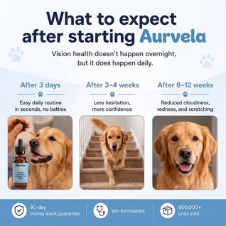 Aurvela™- Clear Vision Drops for Dogs