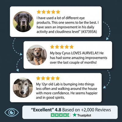 Aurvela™ Clear Vision Drops for Dogs