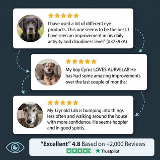 Aurvela™ Clear Vision Drops for Dogs