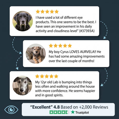 Aurvela™ Clear Vision Drops for Dogs