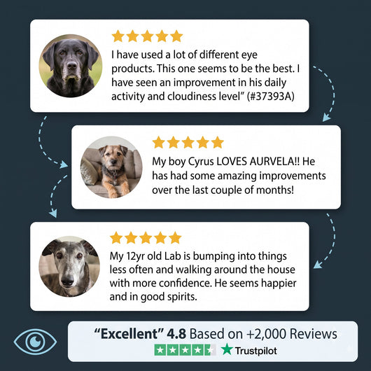 Aurvela™ Clear Vision Drops for Dogs