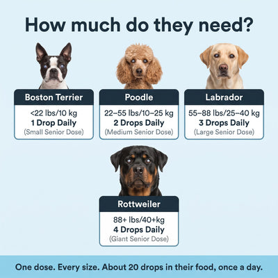Aurvela™ Clear Vision Drops for Dogs