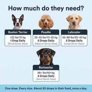 Aurvela™ Clear Vision Drops for Dogs