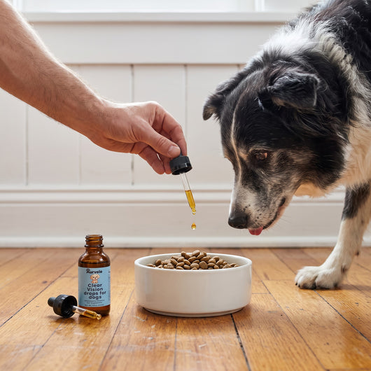 Aurvela™ Clear Vision Drops for Dogs