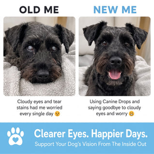 Aurvela™ Clear Vision Drops for Dogs