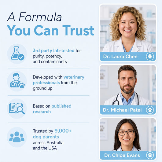 Aurvela™ Clear Vision Drops for Dogs