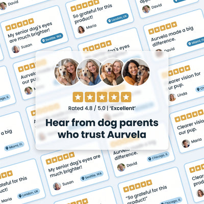 Aurvela™-Clear Vision Drops for Dogs