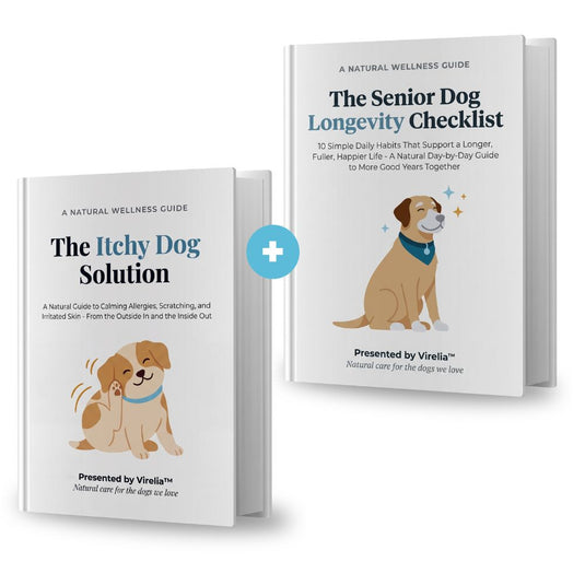 Order Today & Get Our $40 Itchy Dog Solution and Senior Dog Longeity eBook 