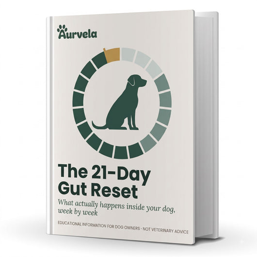 The 21-Day Gut Reset (Ebook)