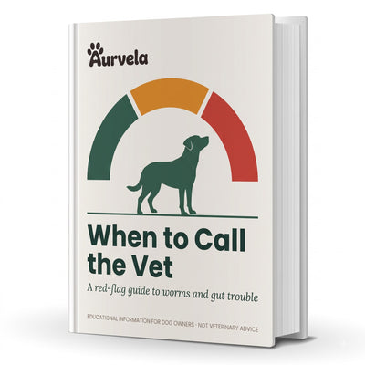 When to Call the Vet (Ebook)