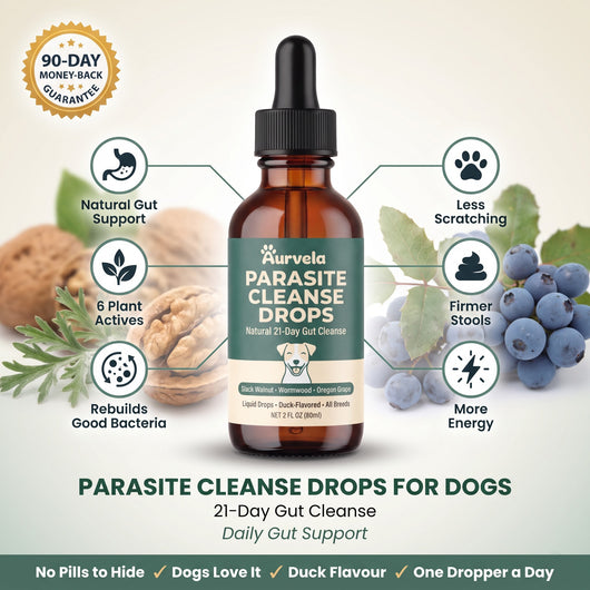 Aurvela™ Parasite Cleanse Drops