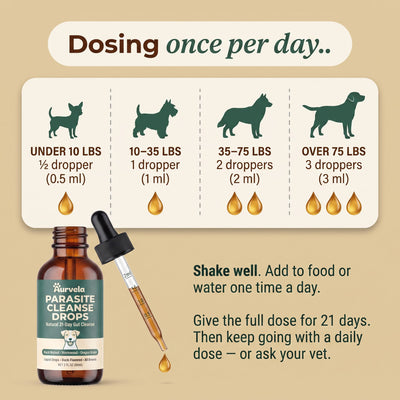 Aurvela™ Parasite Cleanse Drops