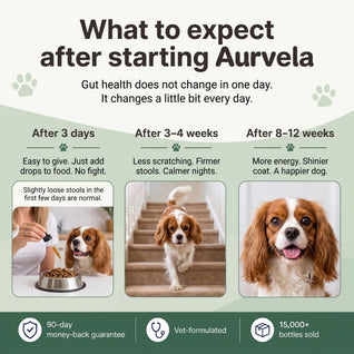 Aurvela™ Parasite Cleanse Drops