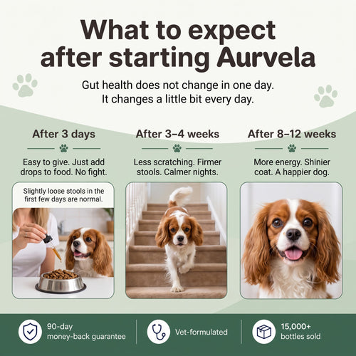 Aurvela™ Parasite Cleanse Drops