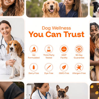 Aurvela™ Wellness Protocol