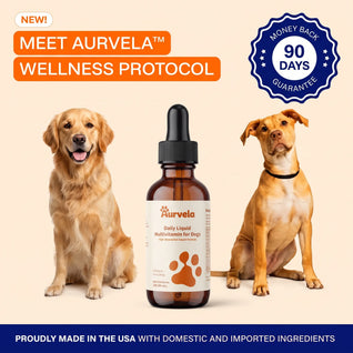 Aurvela™ Wellness Protocol