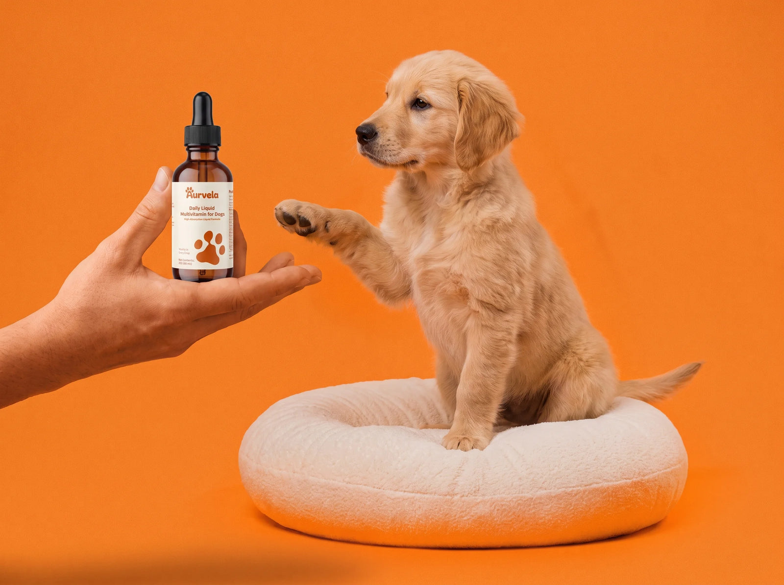 Let Aurvela™ Wellness Protocol Revive Your Dog