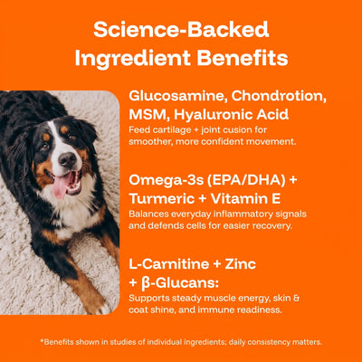 Aurvela™ Wellness Protocol
