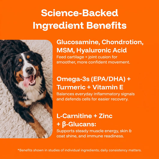 Aurvela™ Wellness Protocol