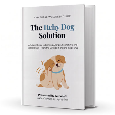 The Itchy Dog Solution (Ebook)