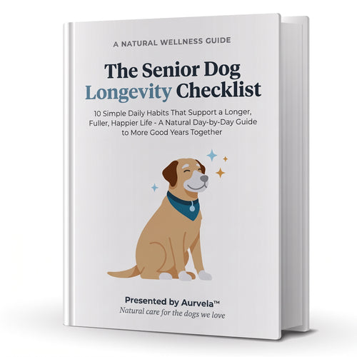 The Senior Dog Longevity Checklist (Ebook)