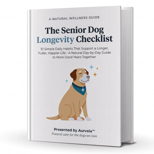 The Senior Dog Longevity Checklist (Ebook)
