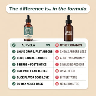 Aurvela™- Parasite Cleanse Drops